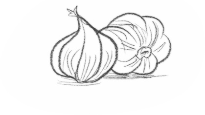 Иллюстрация к книге — Самая необычная дружба [i_039.jpg]