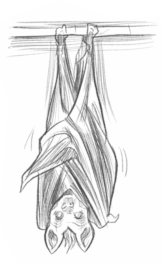 Иллюстрация к книге — Самая необычная дружба [i_047.jpg]