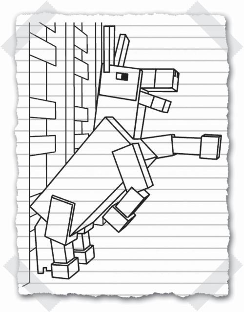 Иллюстрация к книге — Дневник Стива. Конёк-квадратноног [i_036.jpg]