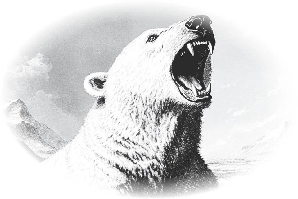 Иллюстрация к книге — Дети Антарктиды. 200 дней [_4.webp]