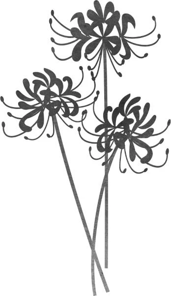 Иллюстрация к книге — Выжившая из Ходо, файл i_001 Иллюстрация к книге — Выжившая из Ходо, файл i_001