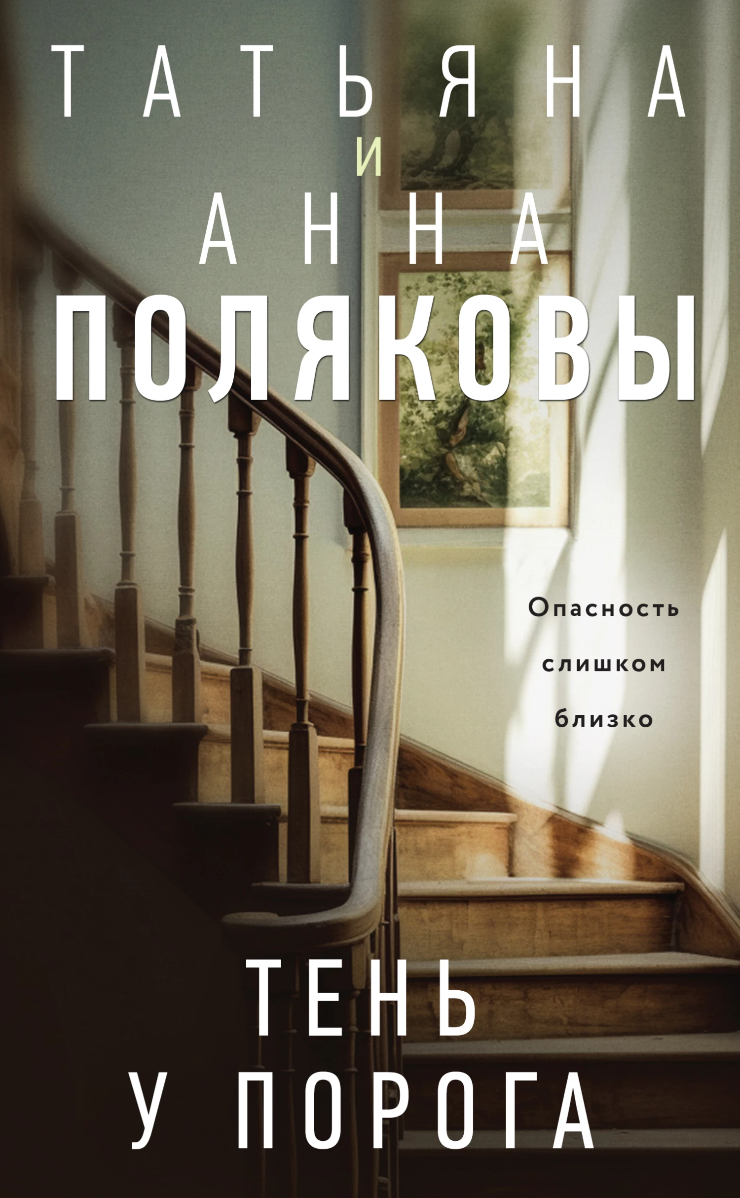 Книга Тень у порога
