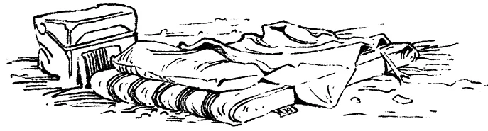 Иллюстрация к книге — Загадка планеты Терра [i_004.webp]