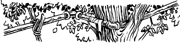 Иллюстрация к книге — Загадка планеты Терра [i_006.webp]