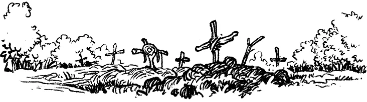 Иллюстрация к книге — Загадка планеты Терра [i_007.webp]