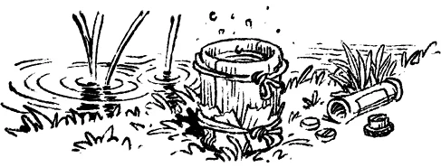 Иллюстрация к книге — Загадка планеты Терра [i_014.webp]