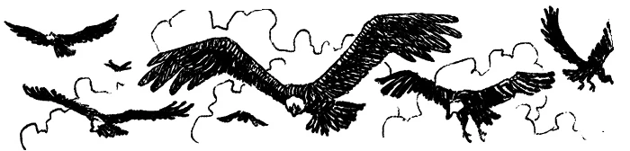 Иллюстрация к книге — Загадка планеты Терра [i_016.webp]