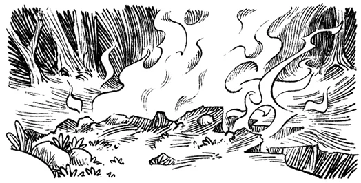 Иллюстрация к книге — Загадка планеты Терра [i_022.webp]