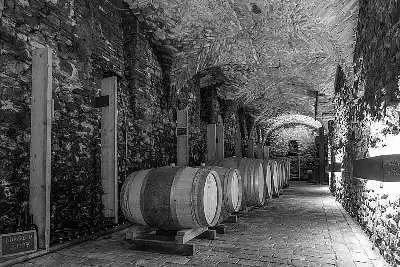 Иллюстрация к книге — Италия: жизнь в замке в XXI веке [_44.webp]