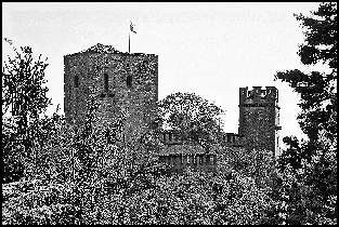 Иллюстрация к книге — Италия: жизнь в замке в XXI веке [_48.webp]