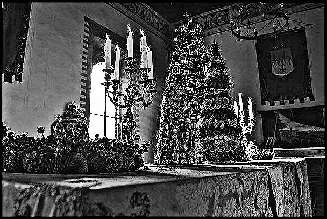 Иллюстрация к книге — Италия: жизнь в замке в XXI веке [_54.webp]