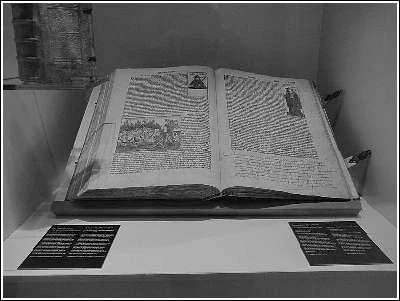 Иллюстрация к книге — Италия: жизнь в замке в XXI веке [_80.webp]