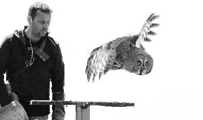 Иллюстрация к книге — Италия: жизнь в замке в XXI веке [_82.webp]