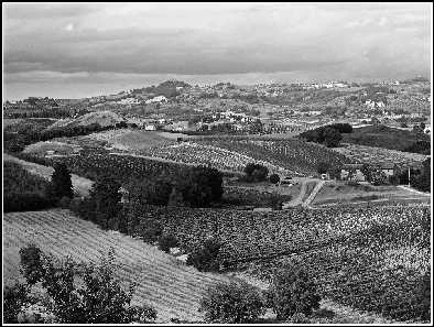 Иллюстрация к книге — Италия: жизнь в замке в XXI веке [_99.webp]