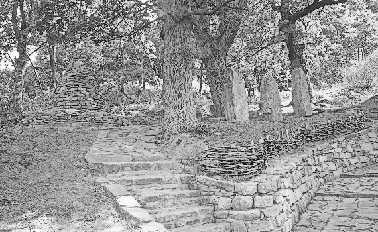 Иллюстрация к книге — Не оставляй в живых колдуньи [_9.webp]