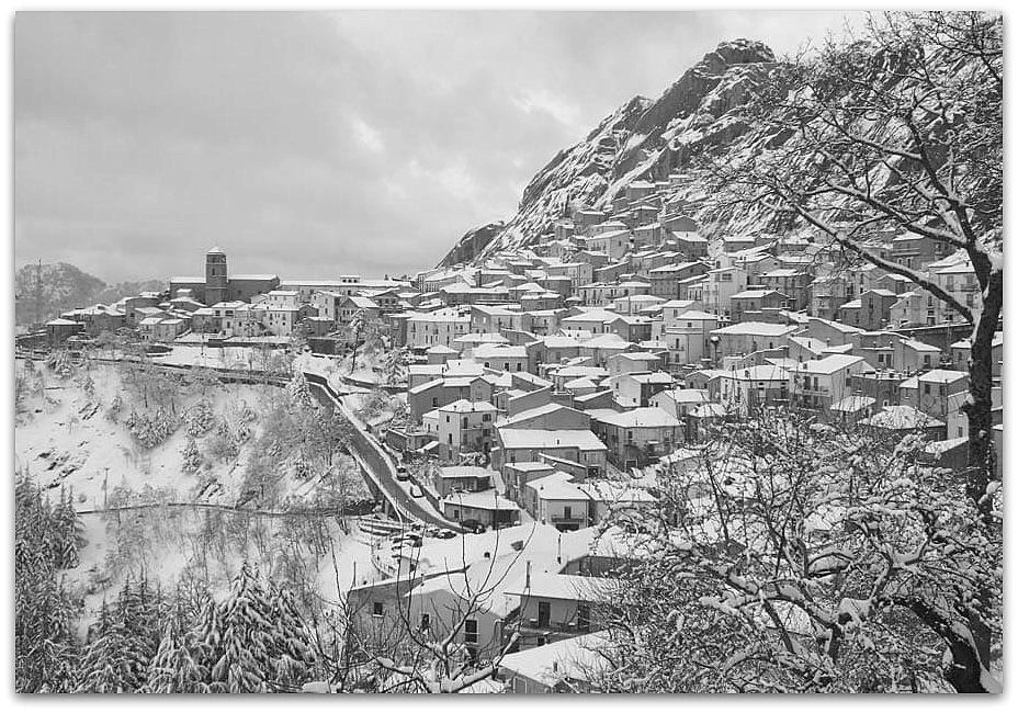 Иллюстрация к книге — Убийство и рождественский пирог [i_004.webp]