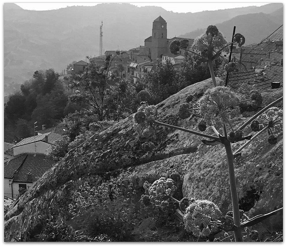 Иллюстрация к книге — Убийство и рождественский пирог [i_007.webp]