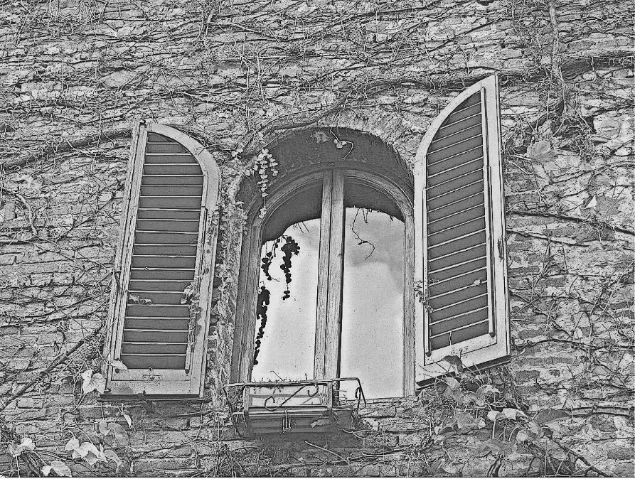 Иллюстрация к книге — Убийство под солнцем Тосканы [_15.webp]