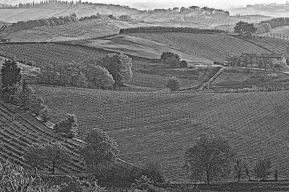 Иллюстрация к книге — Убийство под солнцем Тосканы [_6.webp]