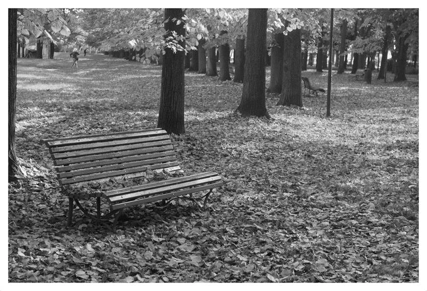 Иллюстрация к книге — Темные воды Венеции [_28.webp]