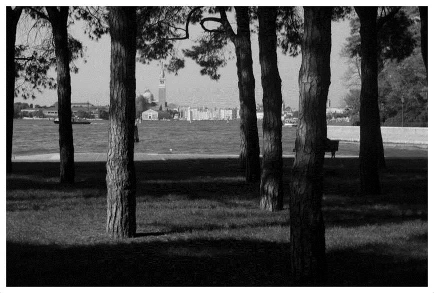 Иллюстрация к книге — Темные воды Венеции [_29.webp]