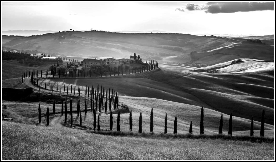 Иллюстрация к книге — Шепот холмов Тосканы [_20.webp]