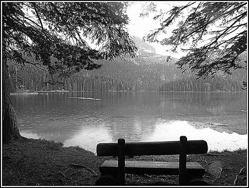 Иллюстрация к книге — Придет серенький волчок [_19.webp]