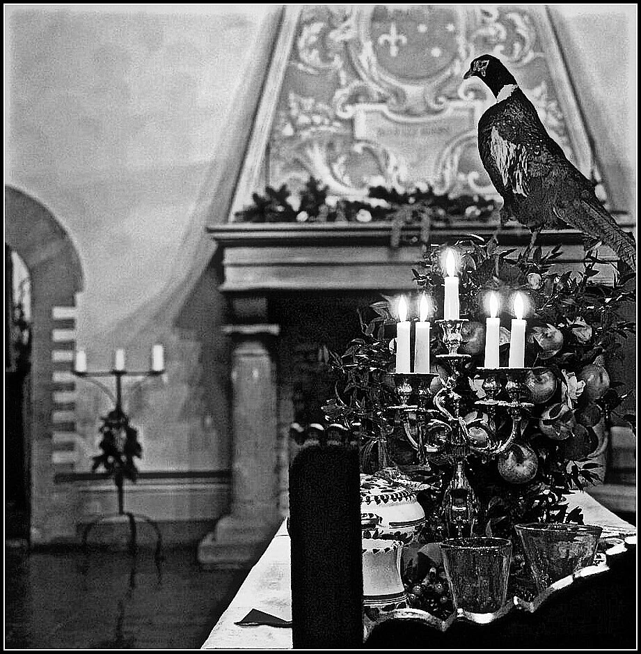 Иллюстрация к книге — Замок с видом на убийство [_2.webp]