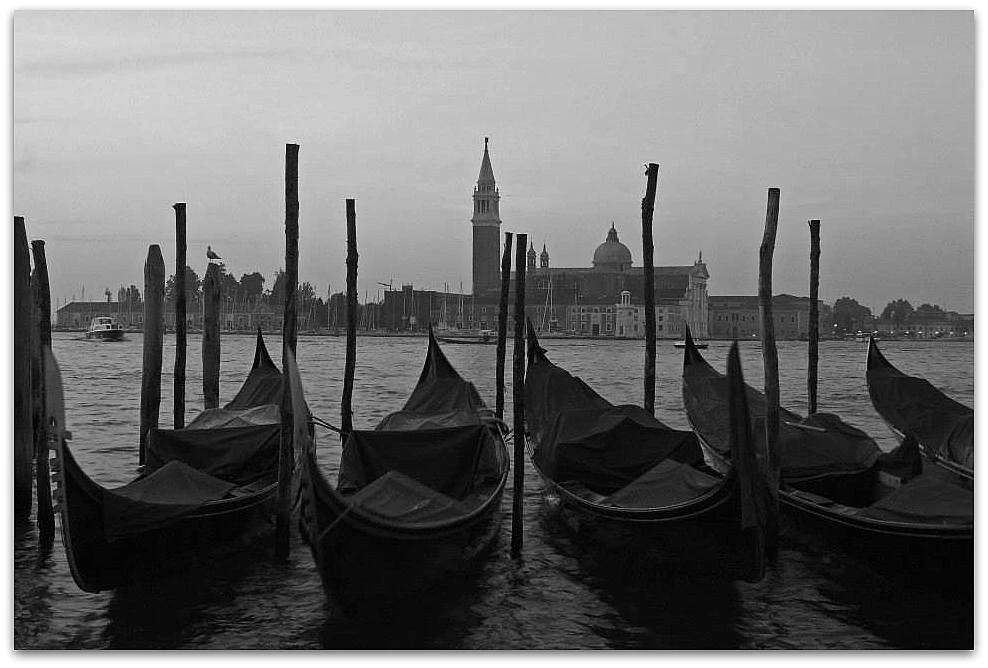 Иллюстрация к книге — Повелитель ночи [i_002.webp]