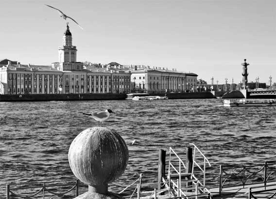 Иллюстрация к книге — Петербург манящий [Старые тайны, уютные уголки, сладости из детства] [i_007.webp]