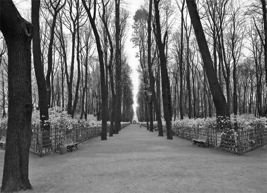 Иллюстрация к книге — Петербург манящий [Старые тайны, уютные уголки, сладости из детства] [i_034.webp]