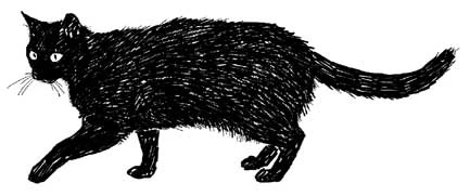 Иллюстрация к книге — Петербург манящий [Старые тайны, уютные уголки, сладости из детства] [i_061.webp]