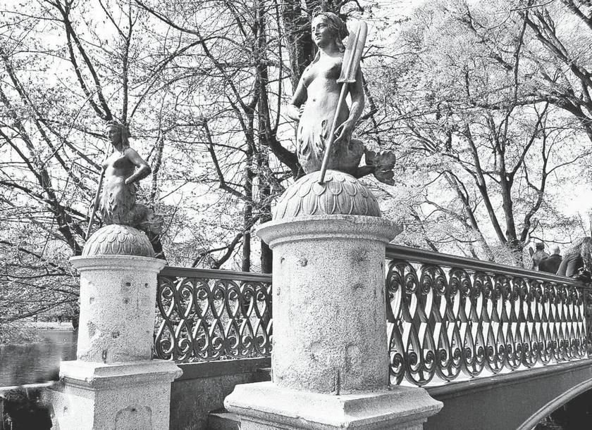 Иллюстрация к книге — Милан на вкус. Дамы, коктейли и золотое ризотто [i_035.webp]