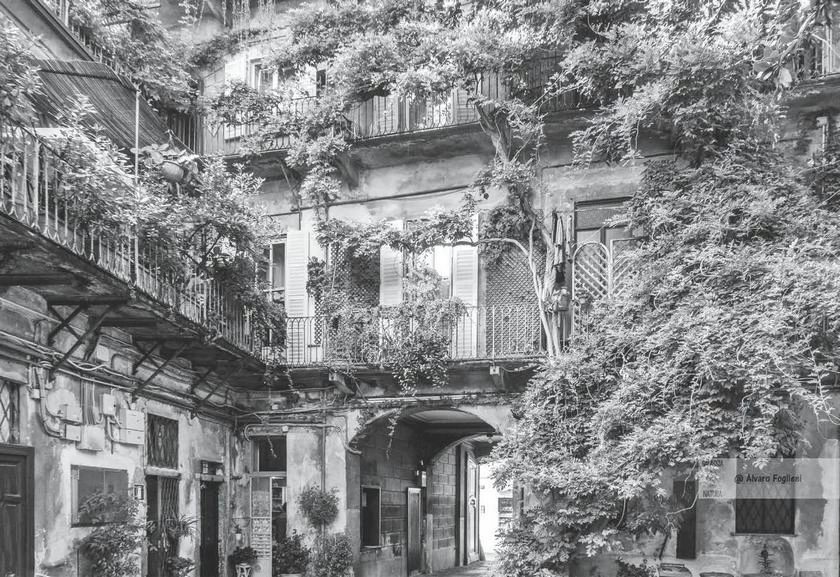 Иллюстрация к книге — Милан на вкус. Дамы, коктейли и золотое ризотто [i_041.webp]