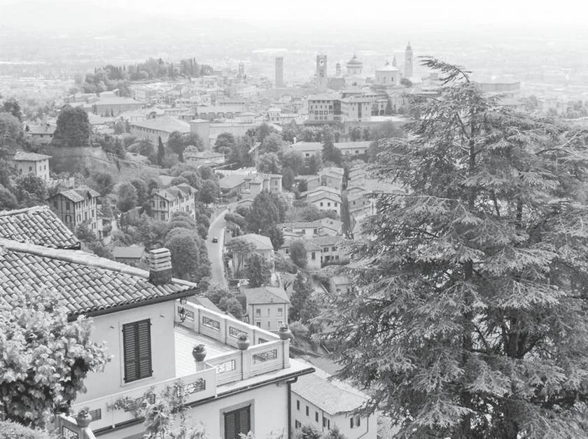 Иллюстрация к книге — Милан на вкус. Дамы, коктейли и золотое ризотто [i_055.webp]