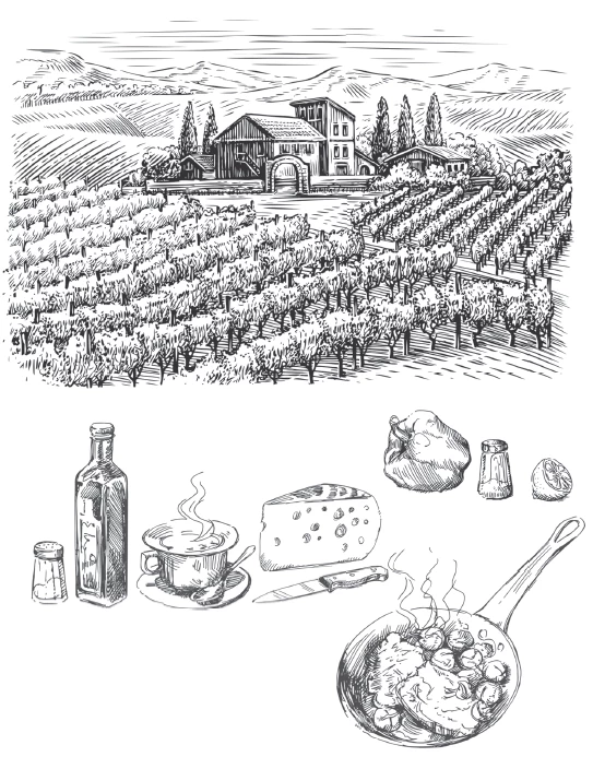 Иллюстрация к книге — Трюфельные сказки Италии. Путешествие за новыми историями и блюдами [i_014.webp]