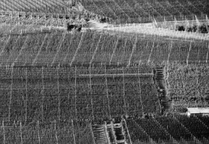 Иллюстрация к книге — Трюфельные сказки Италии. Путешествие за новыми историями и блюдами [i_027.webp]