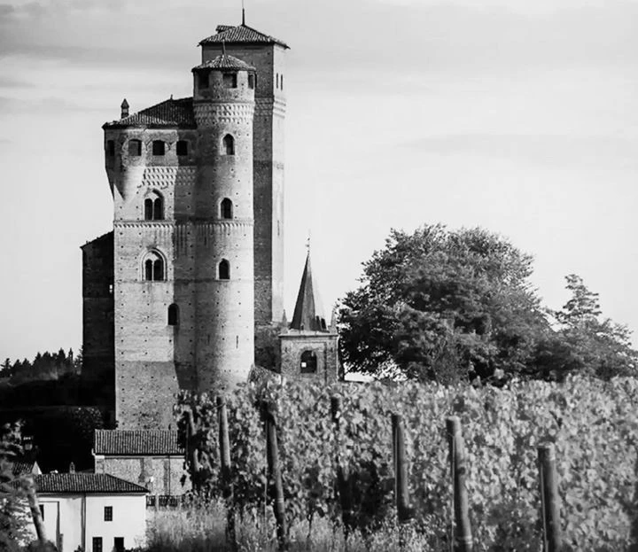 Иллюстрация к книге — Трюфельные сказки Италии. Путешествие за новыми историями и блюдами [i_029.webp]