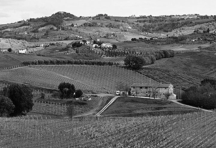 Иллюстрация к книге — Трюфельные сказки Италии. Путешествие за новыми историями и блюдами [i_035.webp]