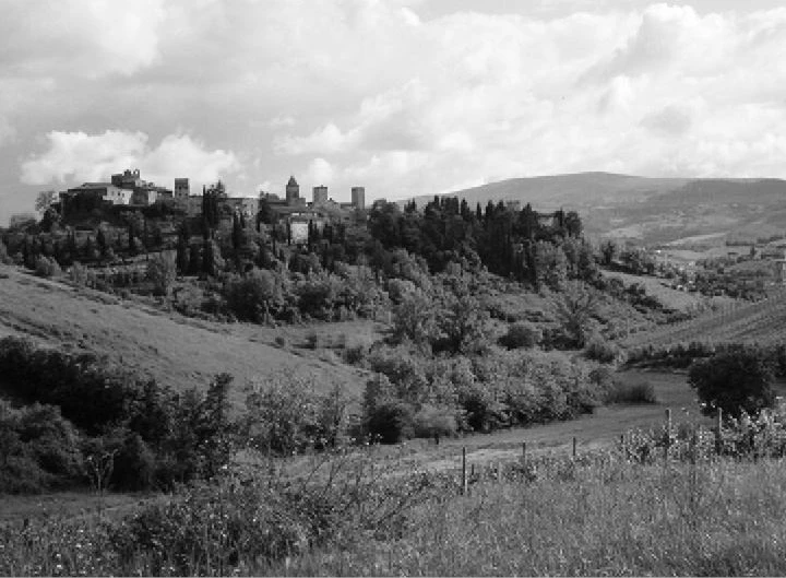 Иллюстрация к книге — Трюфельные сказки Италии. Путешествие за новыми историями и блюдами [i_036.webp]