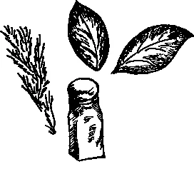 Иллюстрация к книге — Странствия по рецептам мира. Сделаем все быстро, просто и вкусно! [i_013.webp]