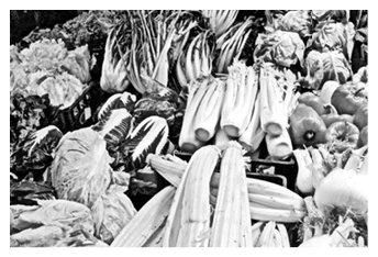 Иллюстрация к книге — Странствия по рецептам мира. Сделаем все быстро, просто и вкусно! [i_023.webp]