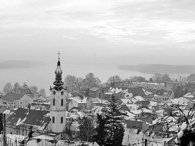 Иллюстрация к книге — Странствия по рецептам мира. Сделаем все быстро, просто и вкусно! [i_034.webp]