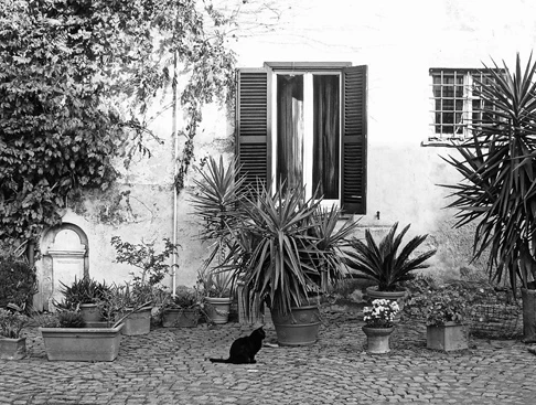 Иллюстрация к книге — Странствия по рецептам мира. Сделаем все быстро, просто и вкусно! [i_048.webp]