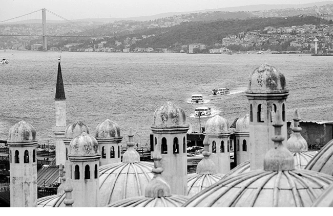 Иллюстрация к книге — Странствия по рецептам мира. Сделаем все быстро, просто и вкусно! [i_052.webp]