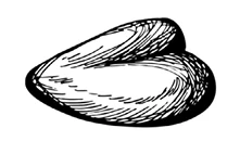 Иллюстрация к книге — Странствия по рецептам мира. Сделаем все быстро, просто и вкусно! [i_069.webp]