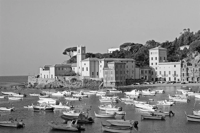 Иллюстрация к книге — Странствия по рецептам мира. Сделаем все быстро, просто и вкусно! [i_073.webp]