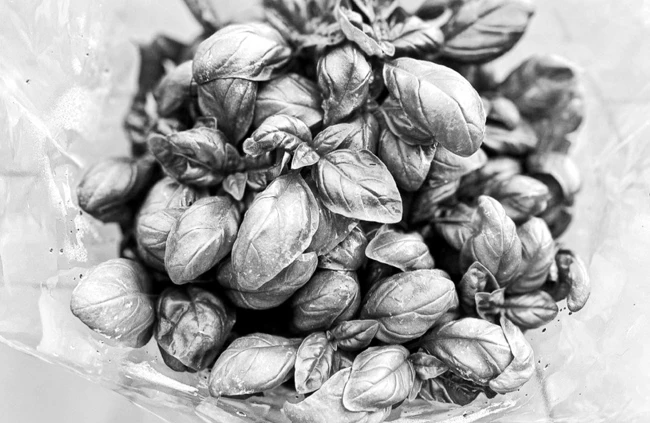 Иллюстрация к книге — Странствия по рецептам мира. Сделаем все быстро, просто и вкусно! [i_076.webp]