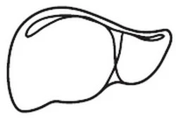 Иллюстрация к книге — Любовь пахнет понедельником [i_017.webp]