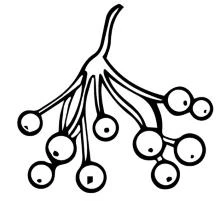 Иллюстрация к книге — Осенняя коллекция детектива [i_003.webp]